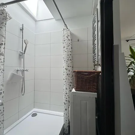 Victus Gardenia By Renters
